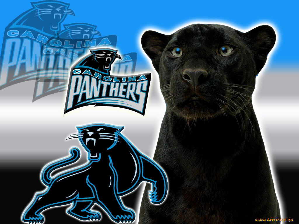 , nhl